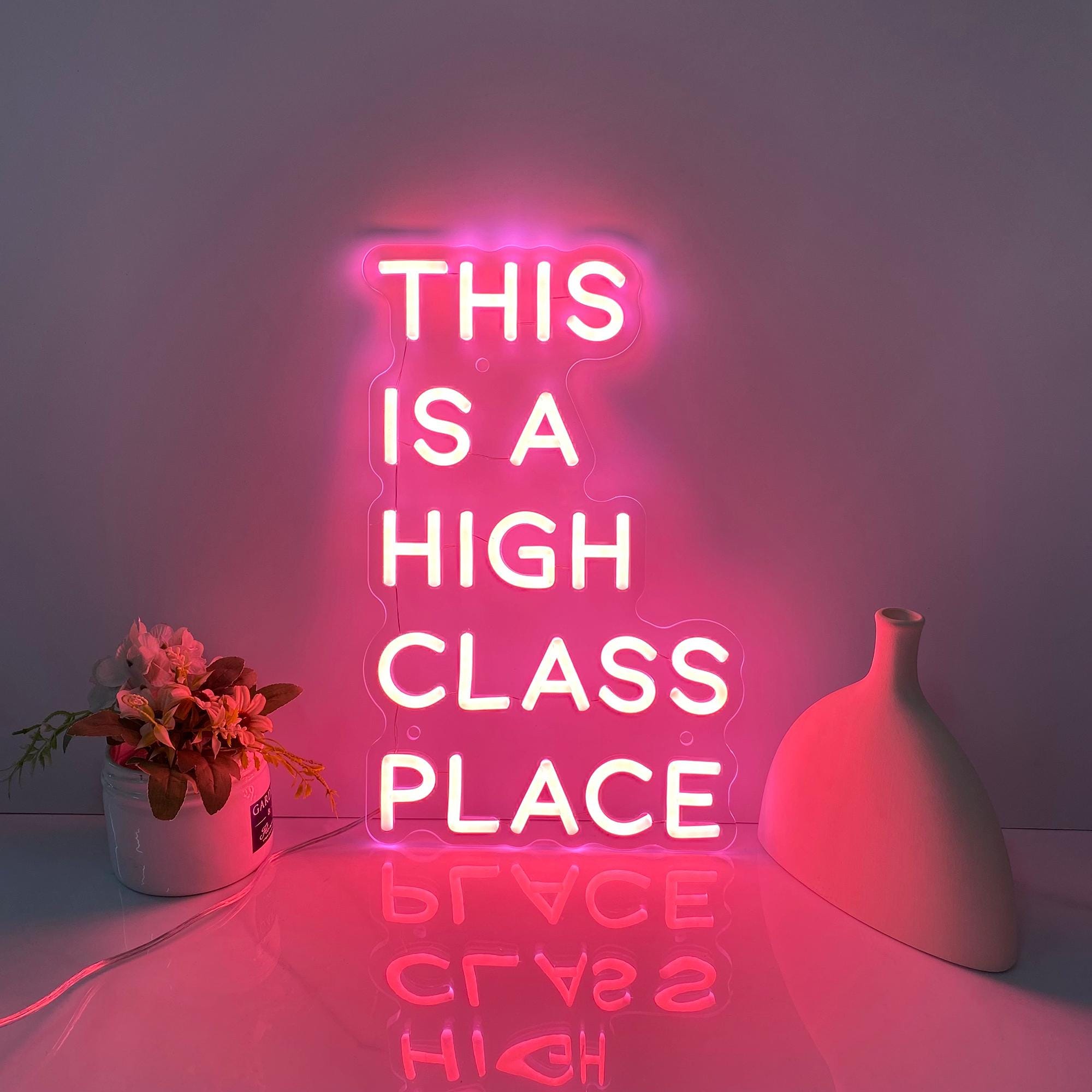 This Is A high Class Place Neon Sign, Western Wall Art, Custom Neon Signs, Room Decor Sign, Party Decor Sign, Home Wall Decor Led Light Sign