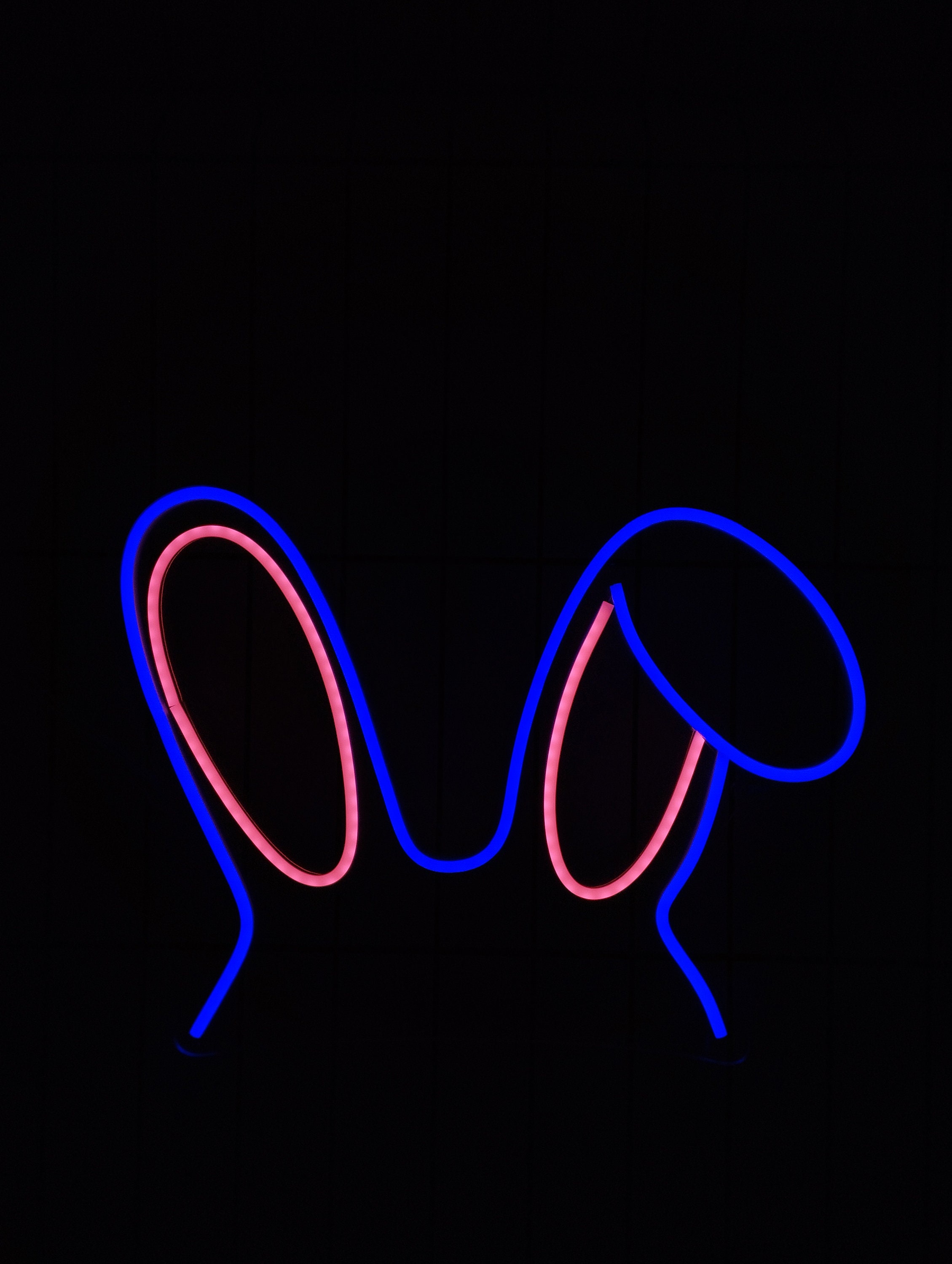 Bunny Ears Neon Sign, Rabbit Ears Neon Sign, Rabbit Neon Sign, Bunny Light, Cute Neon, Animal Neon Sign, Neon Sign Bedroom, Easter Neon Sign