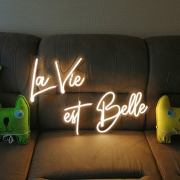 La Vie Est Belle Neon Sign, Wedding Neon Sign, Champagne Wall Neon Sign, Super Lettering Neon Sign