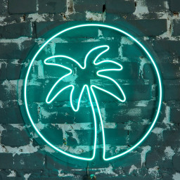 Palm Tree Neon Sign, Palm Neon Bar Sign, Palm Tree Led Sign, Palm Bar Neon Sign, Neon Palm Tree, Palm Tree Light Sign, Palm Neon Sign Bar