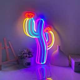 Colorful Cactus Neon Led Sign, Custom Neon Sign, Game Room Decor, Neon Cactus Sign Art, Room Bar Pub Restaurant Decor, Personalized Gift