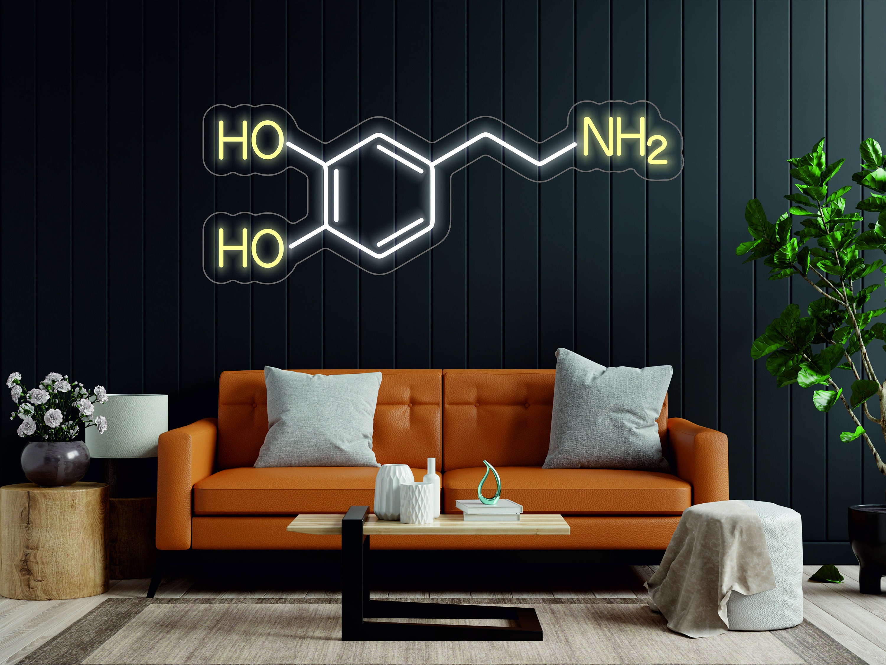 Molecule - LED Light Neon Sign Formula