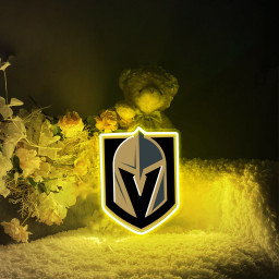 Vegas Golden Knights Ice Hockey UV Signs