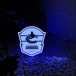 Ice Hockey Vancouver Canucks Laser Signs