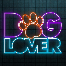 Dog Lover Neon Sign, Dog Lover LED Light, Paw Lover Wall Decor, Animal Neon Sign, Puppy Love Wall Art,  Neon Wall Decor Art, Pet Shop Sign
