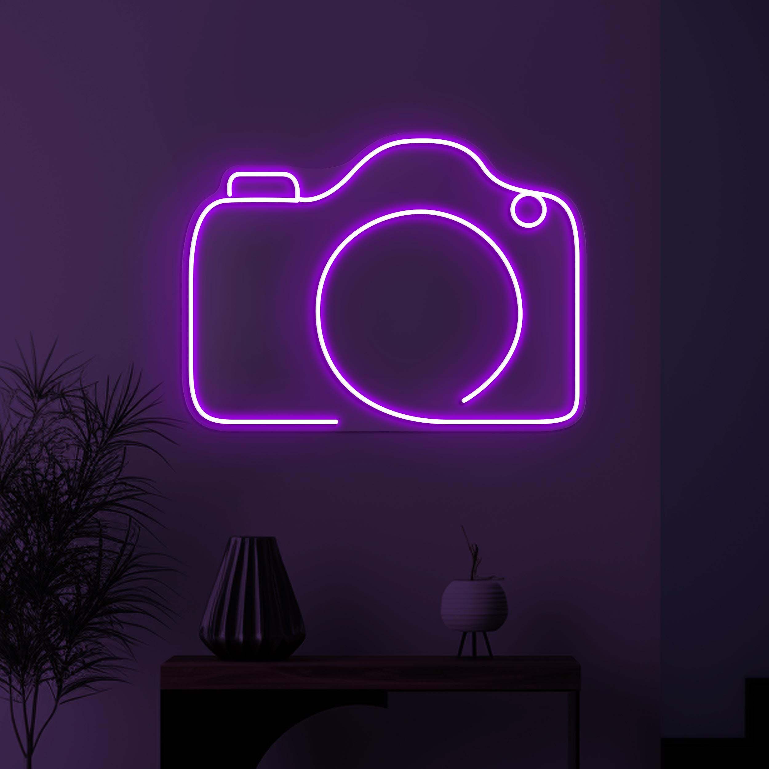Camera Neon Sign, Camera LED Light, Photography Wall Decor, Kids Room Wall Art, Photo Studio Neon Light, Photographer Gift, Birthday Decor