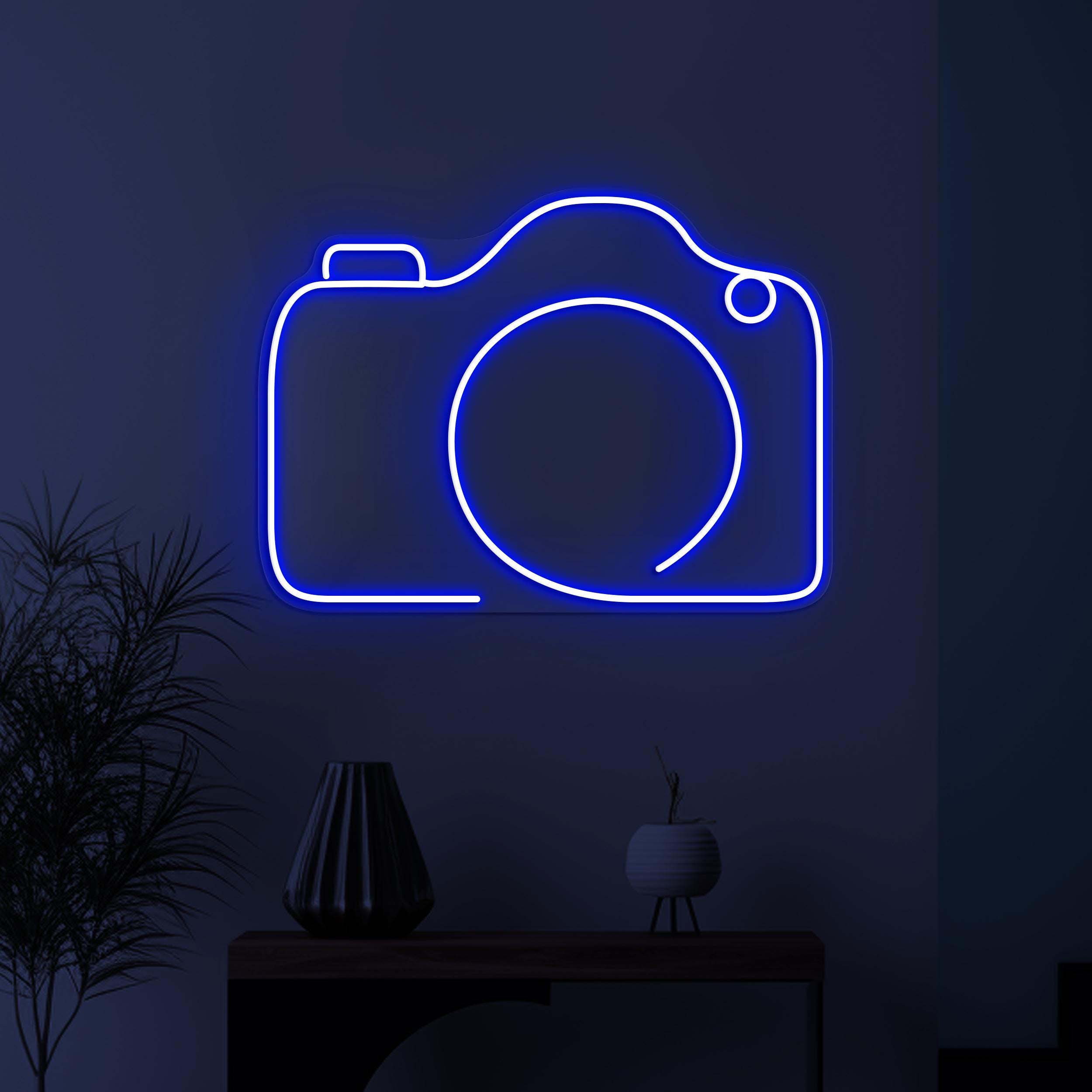 Camera Neon Sign, Camera LED Light, Photography Wall Decor, Kids Room Wall Art, Photo Studio Neon Light, Photographer Gift, Birthday Decor