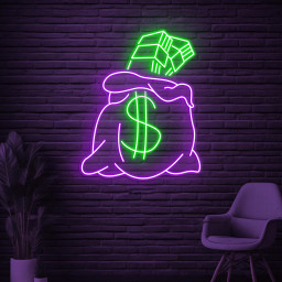 Money Bag Neon Sign, Money Bag LED Light, Dollar Money Bag Decor, Office Wall Art, Dollar Logo Sign, Business Neon Art, Dollar Wall Decor