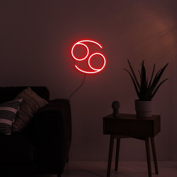 Cancer Neon Sign, Zodiac Horoscope LED Light, Astrology Wall Decor, Spiritual Gift for Birthdays, Kids Room, Constellation USB Neon Light