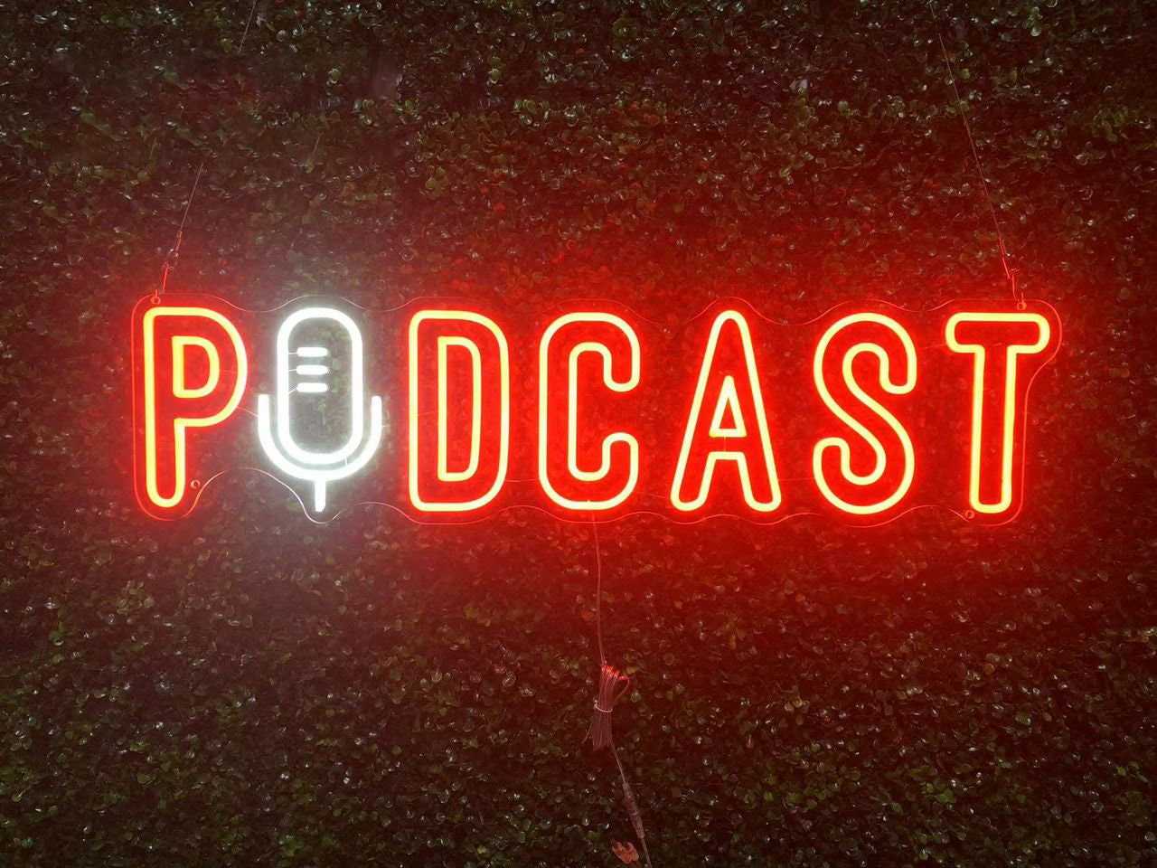Podcast Neon Sign, LED Wall Decor for Home Studio, Unique Podcasting Room Art, Custom Neon Light, Personalized Podcast Sign, Gift Idea