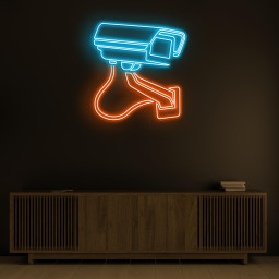 Camera Neon Sign, Security Camera LED Light, CCTV Wall Decor, Surveillance Wall Art, Shop, Malls, & Market Neon Light, Custom Neon Sign