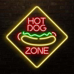 Hot Dog Zone Neon Sign, Hot Dog Zone LED Light, Fast Food Area Wall Decor, Party Neon Sign, Gift For Hot Dog Lovers, Restaurant Neon Light