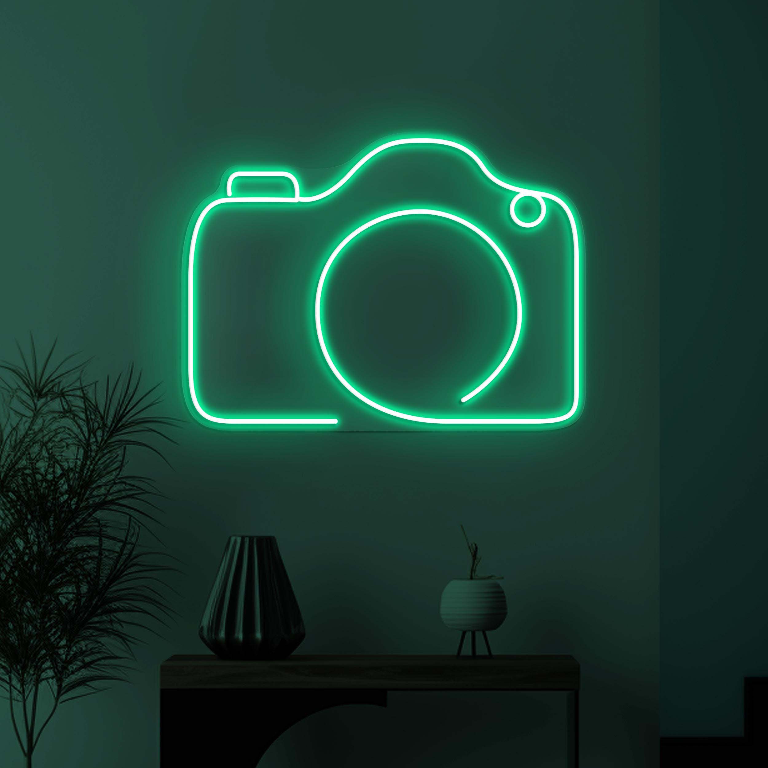 Camera Neon Sign, Camera LED Light, Photography Wall Decor, Kids Room Wall Art, Photo Studio Neon Light, Photographer Gift, Birthday Decor