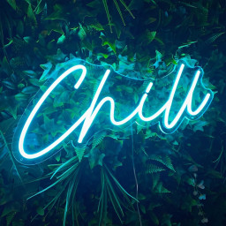 Chill Neon Sign, LED Chill Light for Bedroom & Bar Decor, Chill Wall Art, Gamer Room, Party Backdrop, Pub and Hotel Signage decor, Gift Idea