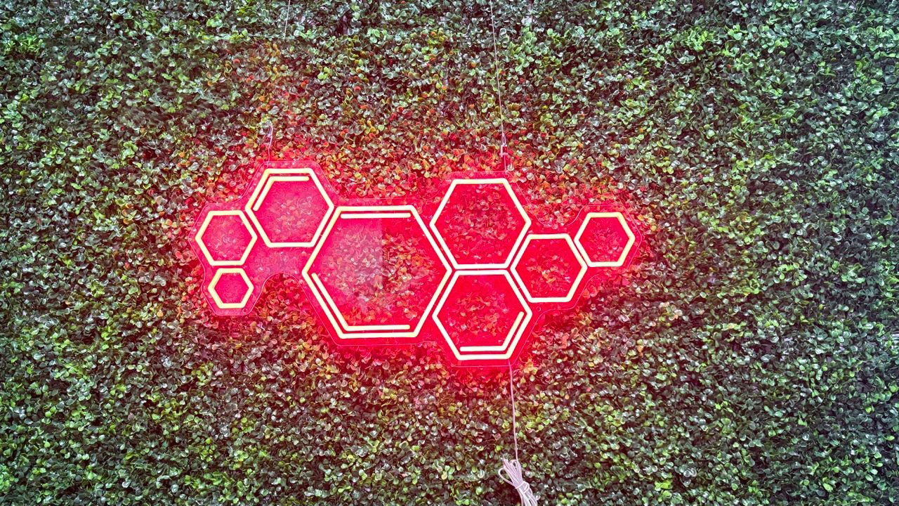Honeycomb Neon Sign, Honeycomb Light, Nature Lover's Home Decor, LED Neon Light, Night Light, Bee Lover Gifts, Beekeeper Art Gift, Neon Sign