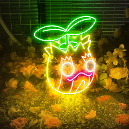 Sunkern Pokemon Neon Signs