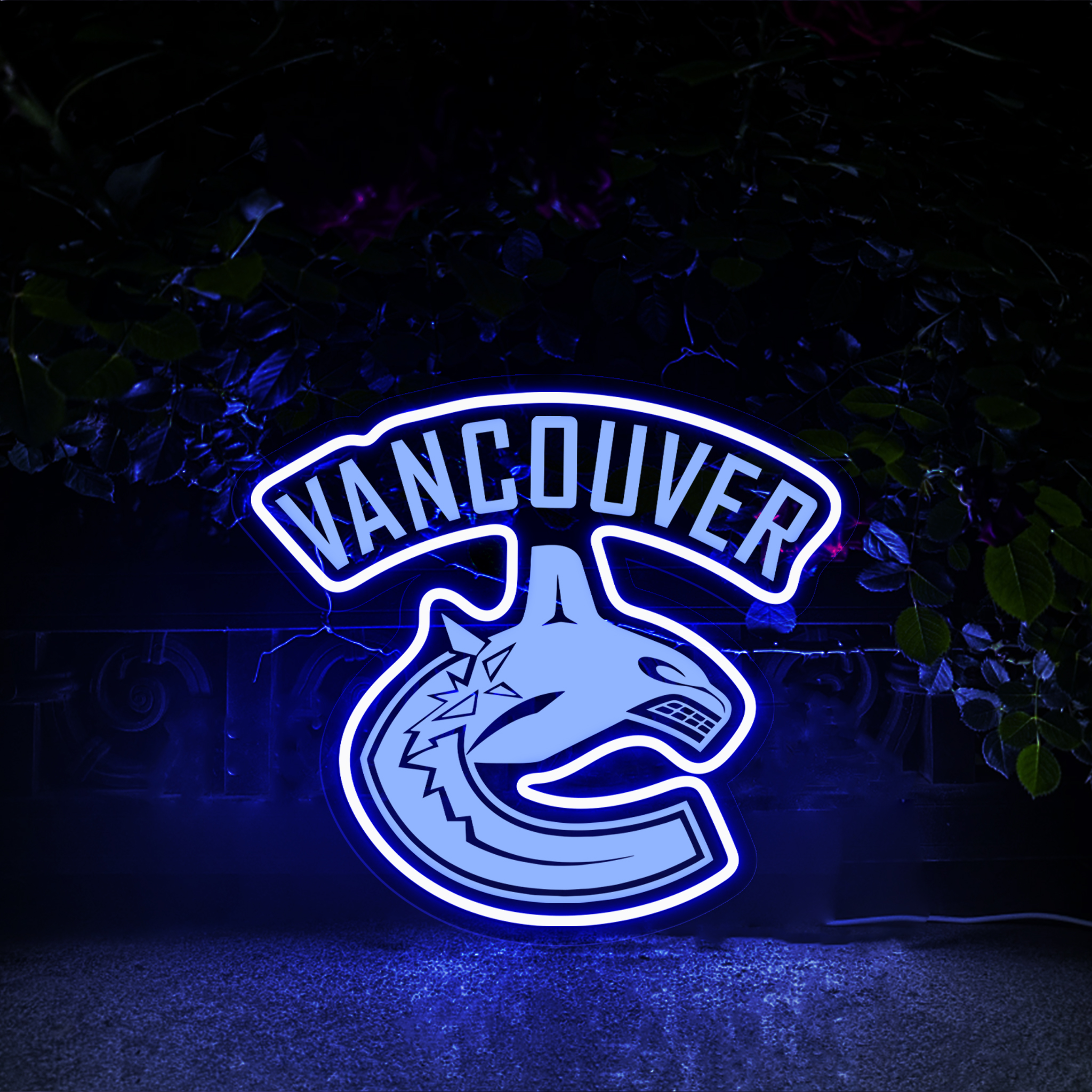 LED Neon x Laser Artwork